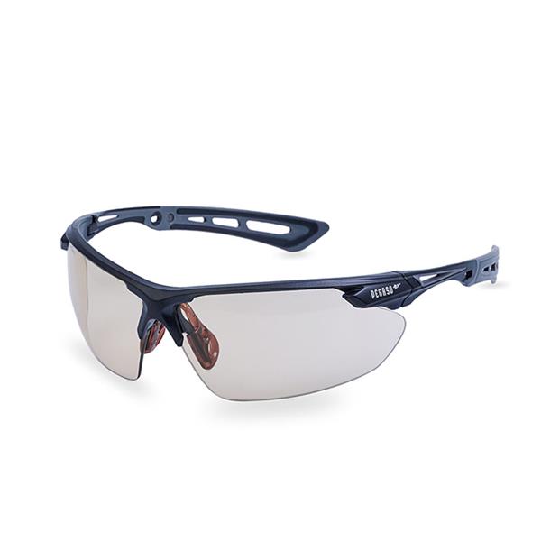 Gafas protecci?n PEGASO Aventur Max